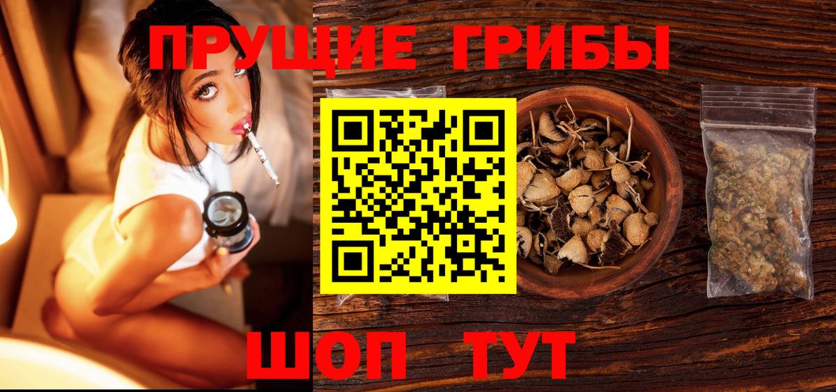 Псилоцибиновые грибы MAGIC MUSHROOMS  Вход с VPN  Калуга  Псилоцибиновые грибы мухоморы 